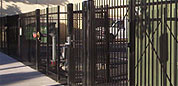 Ornamental Iron Fence | North American Fence and Railing